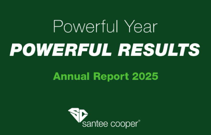 Annual Report 