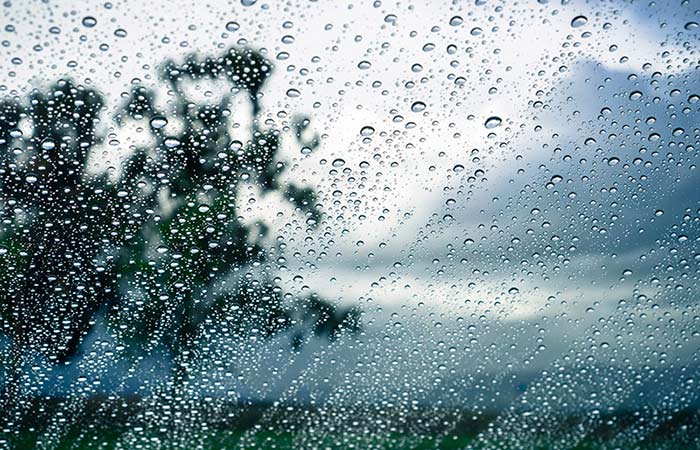 Rain on a window