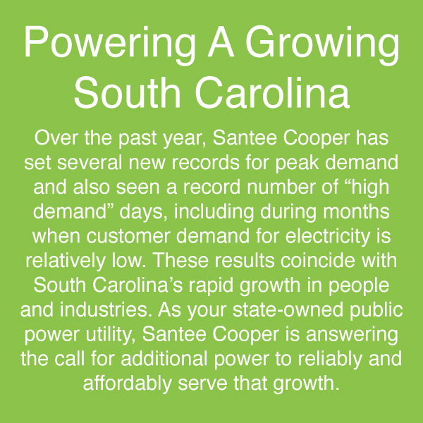 Powering A Growing South Carolina with text on SC lime green background