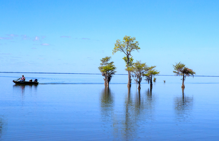 Lakes - Santee Cooper