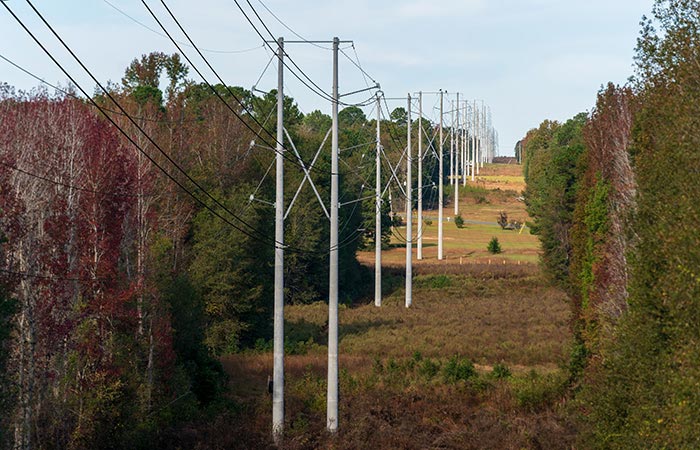 Cables in clearing