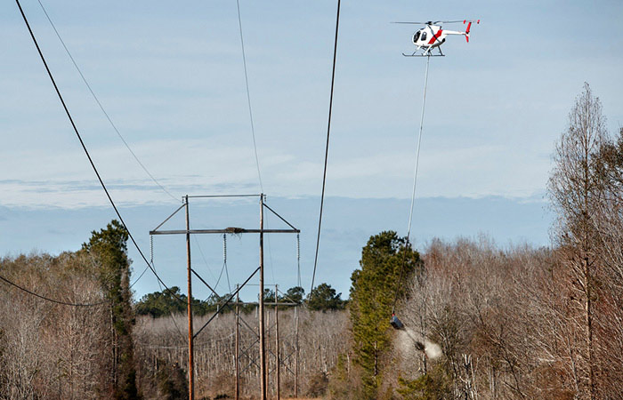 Power lines near trees.