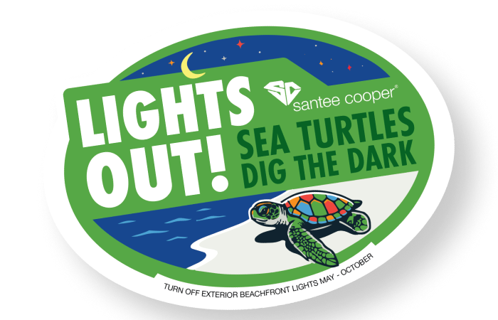 sea turtle