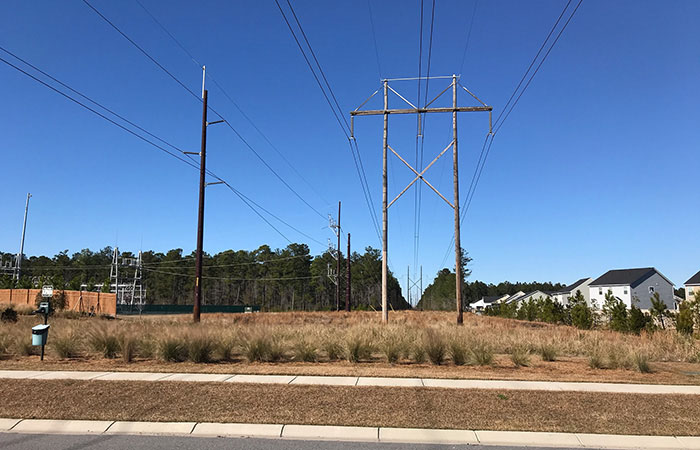 Powerlines along the roadside