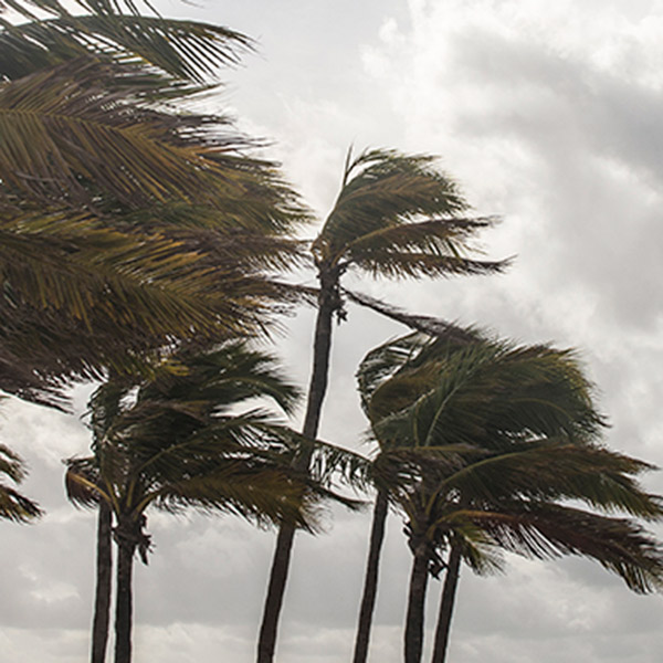 South Carolina Hurricane