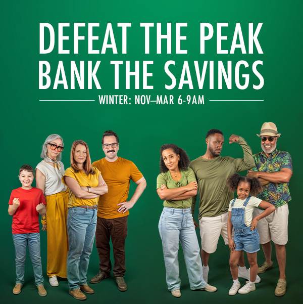 families preparing to save energy and defeat the peak