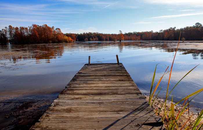Early morning calm on Lake Marion greets visitors at Ferguson Landing, Orangeburg County