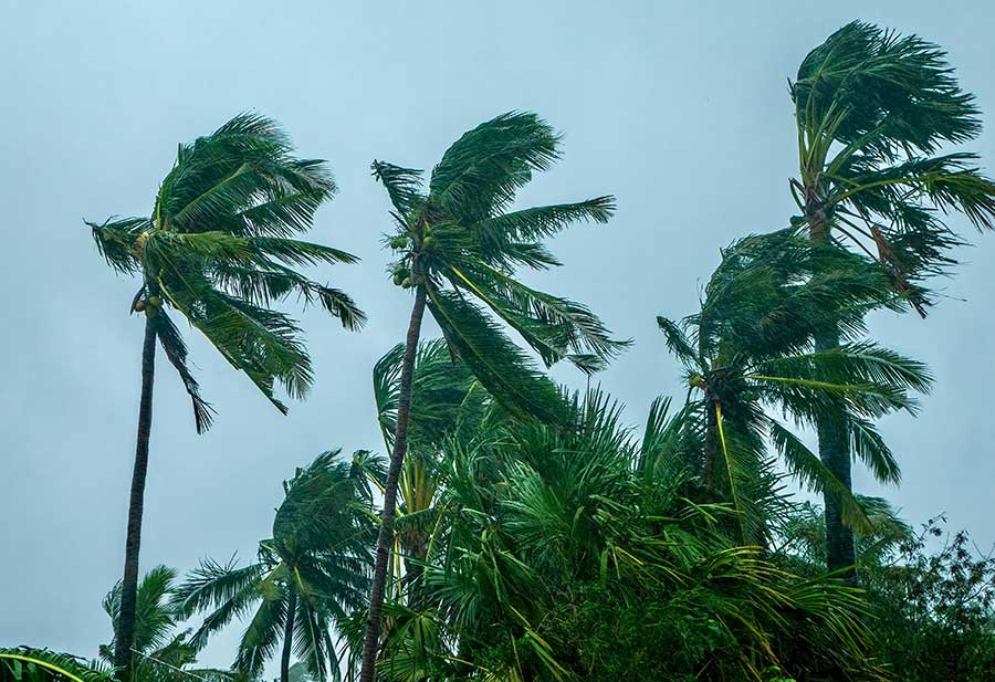 Hurricane Preparedness Kit for The Elderly, Palm Beach
