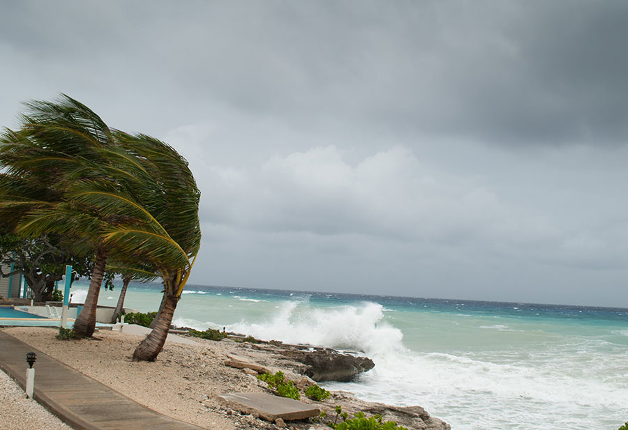 Backup Plans and Power Protection: Get Ready for Hurricane Season